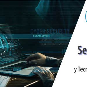 Seguridad en Redes y Tecnologías de la Información