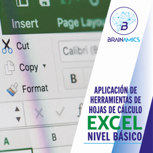 Aplicación de herramientas de hojas de calculo Excel Nivel Básico.